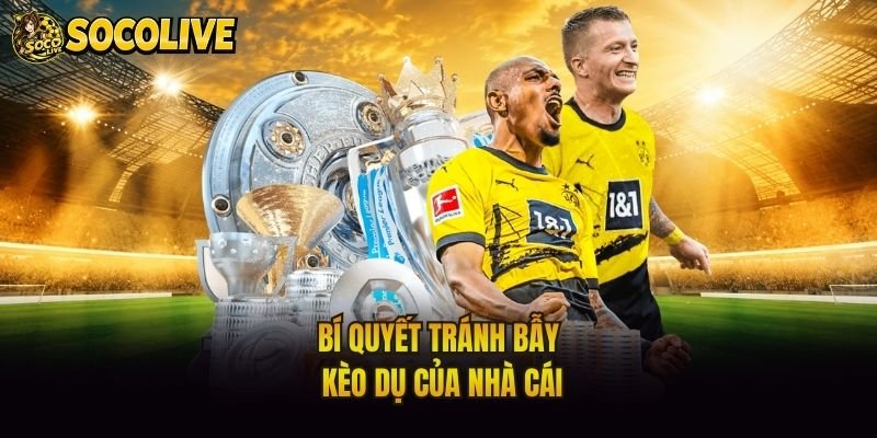Bí quyết tránh bẫy kèo dụ của nhà cái