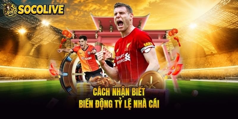 Cách nhận biết biến động tỷ lệ nhà cái