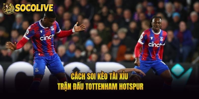 Cách soi kèo tài xỉu trận đấu Tottenham Hotspur