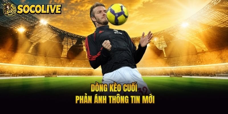 Dòng kèo cuối phản ánh thông tin mới