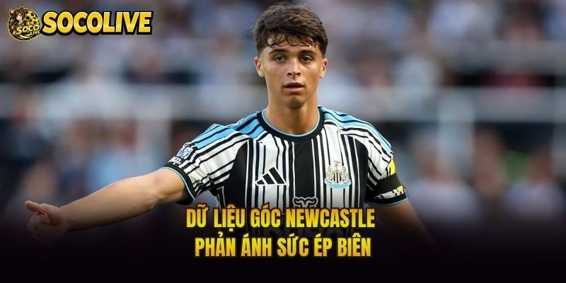Dữ liệu góc Newcastle phản ánh sức ép biên