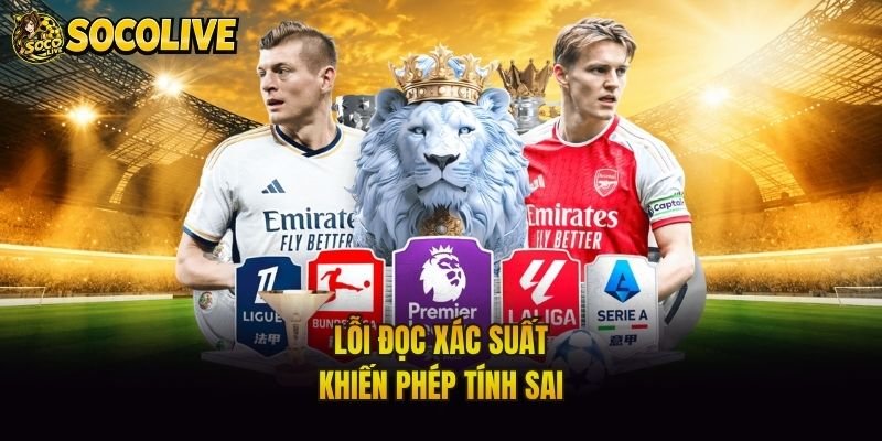 Lỗi đọc xác suất khiến phép tính sai