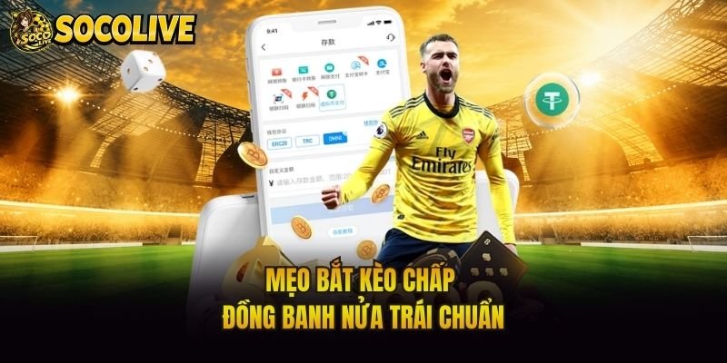 Mẹo bắt kèo chấp đồng banh nửa trái chuẩn