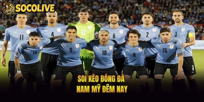 Soi kèo bóng đá Nam Mỹ đêm nay